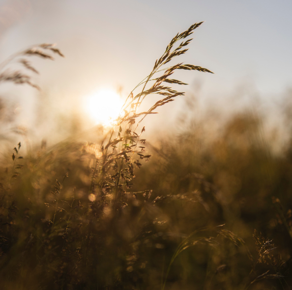 Rewiring your anxious brain